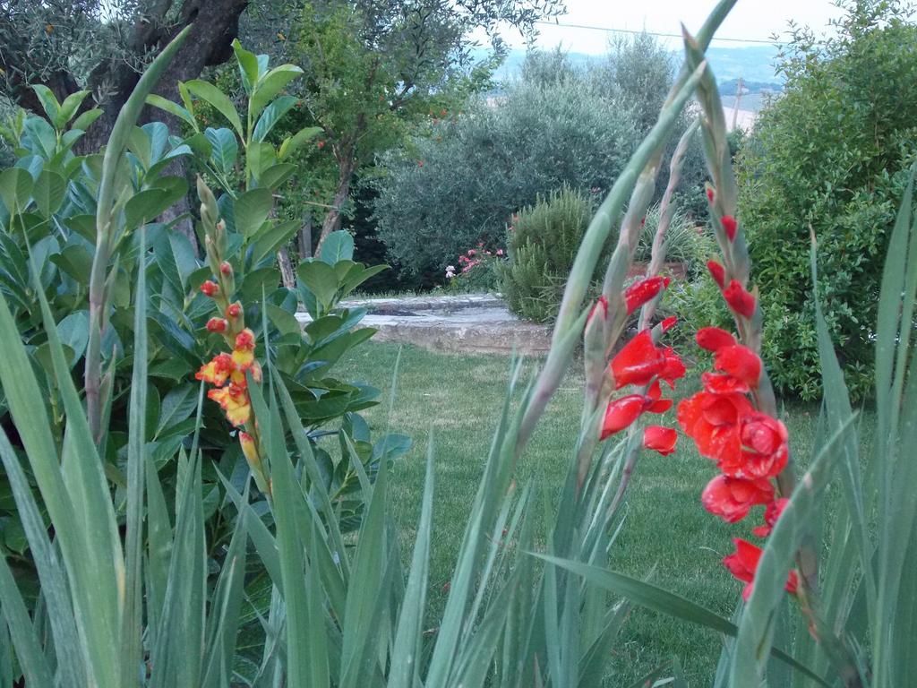 B&B La Torretta Tavullia Bagian luar foto